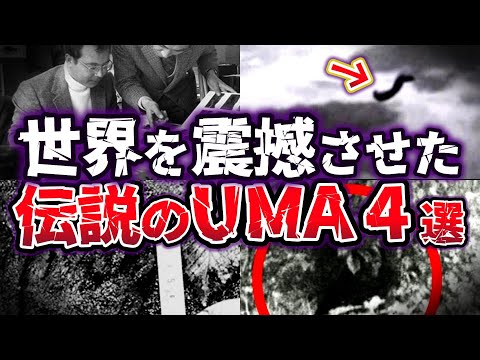 【ゆっくり解説】驚愕!! 伝説の怪物か!? 知られざる伝説の未確認生物UMA４選