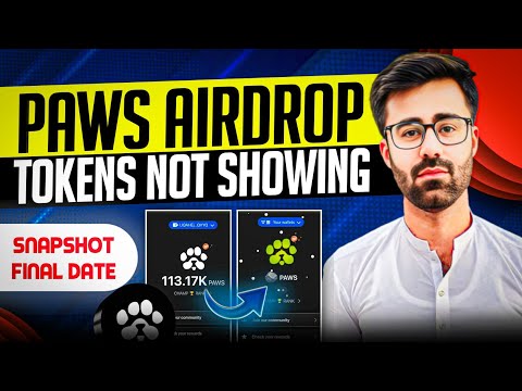 Paws Airdrop Token Not Showing Solution || Paws Airdrop Token Stolen Christmas Task