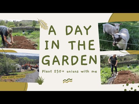 SPRING IN NEW ZEALAND | Let's Kick this Garden into Shape!