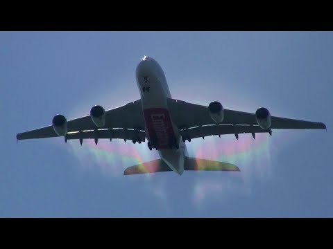 Final Backyard Plane Spotting ✈ Auckland, New Zealand