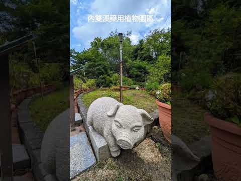 內雙溪藥用植物園區