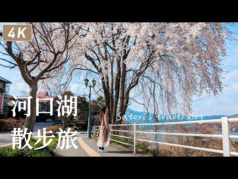 Kawaguchiko vlog｜Oike Park Cherry blossom🌸wagashi Kindaruma、HOUTOU FUDOU｜Japan travel