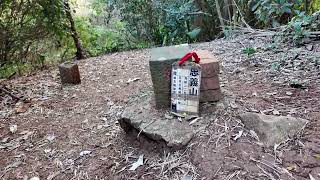 Taipei Walk Loyalty mountain hiking trail 忠義山步道 北投行天宮至桃源公園O字形路線 20240117 POCKET 3