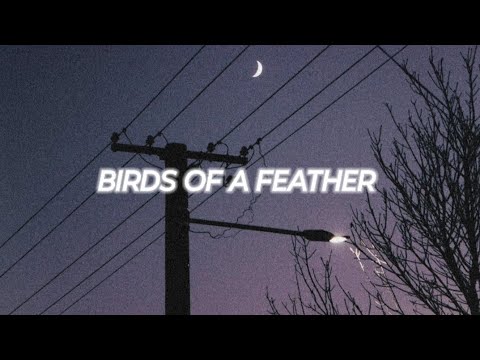 Billie Eilish - Birds of a feather | I'll love you till the day that I die (slowed + reverb)[Lyrics]