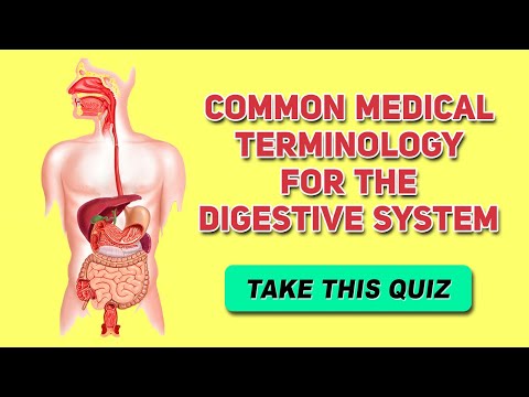 Common Medical Terminology For The Digestive System