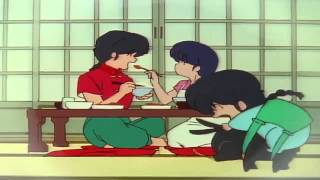 ☆ Ryoga Imagines Ranma & Akane's Future ☆