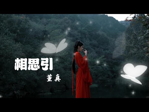 董真—【相思引 】风随风万里，几度红尘来去#中国风 #董真 #音樂