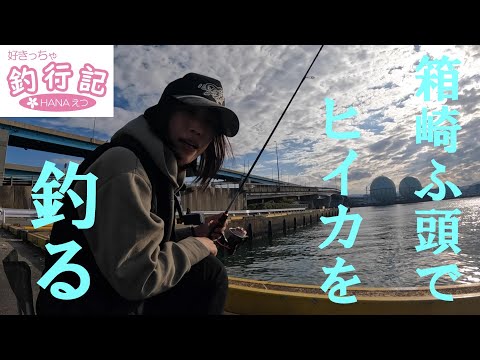 【好きっちゃ釣行記】箱崎ふ頭でヒイカを釣る