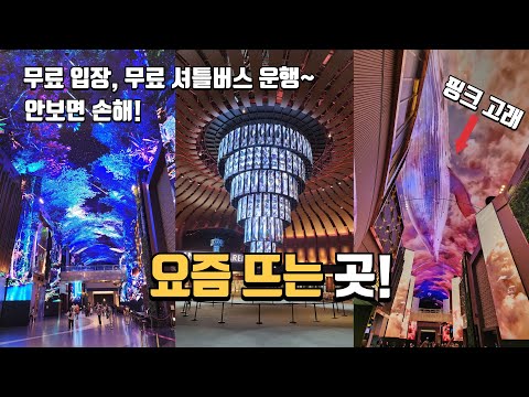 안보면 손해! 국내에서 가장 핫한 미디어아트쇼 | 무료 입장, 무료 셔틀버스 운행 | 이국적인 당일치기 여행지 | 실내데이트 | 국내여행