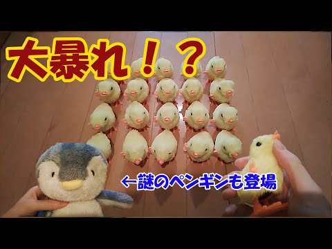 【大暴れ】謎のひよこのおもちゃを開封したら暴れ出したｗ