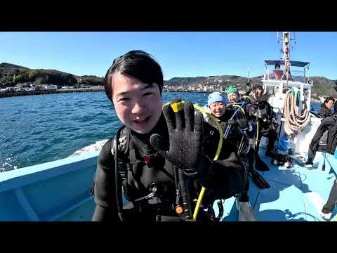 伊豆の海！伊東の海でダイビング！大うねりの海に潜ってきまよぉ！