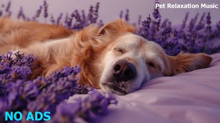 🐶Relaxing Music To Calm Pets 💛 Relaxing Music For Your Best Friend, MUSIC for dogs