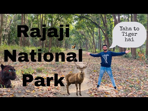 Rajaji national park me ghumne gye😍.   Rajaji national park