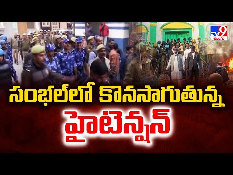 Uttar Pradesh : సంభల్ లో కొనసాగుతున్న హైటెన్షన్ | Sambhal  -TV9