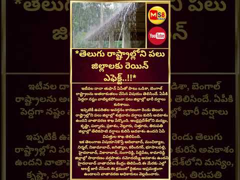 #rain#todaytelangana#todayviral #viralshorts #ytshorts #ytreels #breakingnews #ms8news