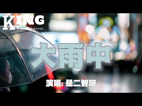 大雨中- 是二智呀【让我在大雨中挣扎，大雨中沙哑，大雨中再犯一次傻。】［动态歌词］