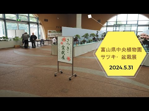 2024.5.31　富山県中央植物園　サツキ・盆栽展