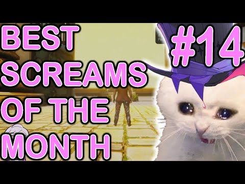 BEST SCREAMS OF THE MONTH ft. BETTEL2 | part 14 | June 2024 #gavisbettel #holotempus