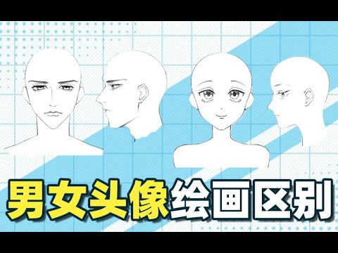 【绘画教程】画男像女？你需要知道男女头像的区别！