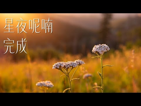 [星夜呢喃/禪塔羅祝福] 完成｜關係聊天室 feat. 關係花園 冠名贊助播出