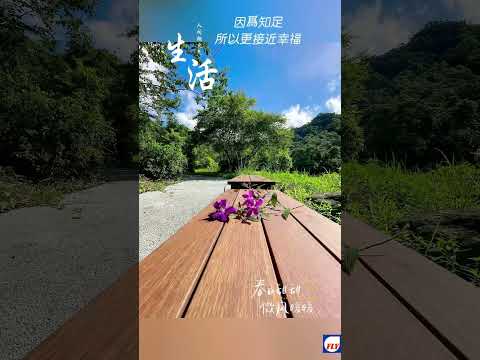 牡丹十三層親水區-透水混凝土鋪面/戶外瓷態竹木樹穴￼座椅 #戶外竹木