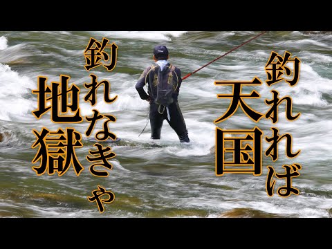 鮎釣り　鮎漁師の生活／岐阜県白川