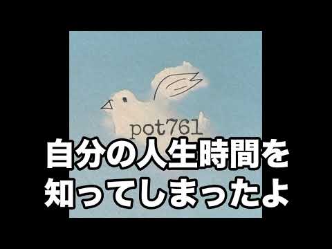 メイトラジオ：pot761 オープニングトーク