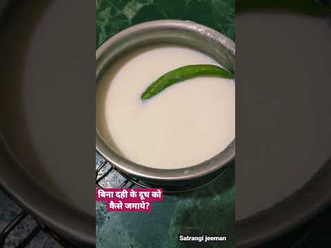 बिना दही के दूध को कैसे जमाये?#dahi #cookingtips #kitchentips #tips #tipsandtricks #shorts #yummy