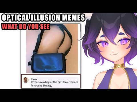 Optical Illusion Memes | "I Only Saw A Bag I Swear!" [ Vtuber Reacts ]