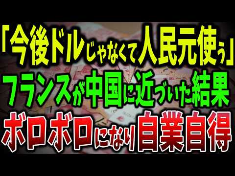 フランスの裏切り？EU vs. 中国の経済戦争！人民元で貿易するフランス！ドル崩壊の序曲か、それとも経済戦争の始まりか【ゆっくり解説】