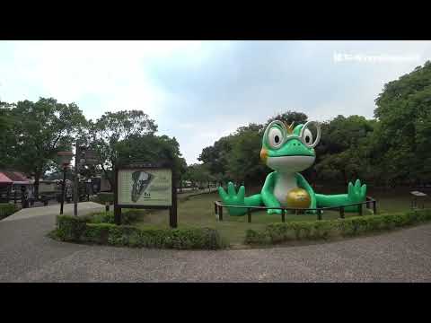 【旅遊景點】八德埤塘自然生態公園(桃園八德)