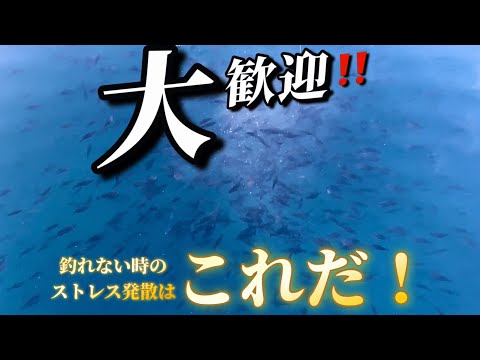 大量のガヤに大歓迎を受ける！そんな時のストレス発散はこれだ！！