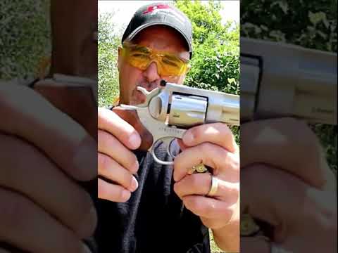 Ruger GP100 Match Champion