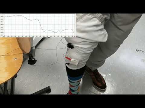 Apparel integrable CNF-based strain sensor integrated in a knee-cap – knee bending 1