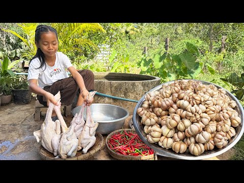 Yummy chickens and garlic recipes - Native chickens cooking - Cooking with Sreypich