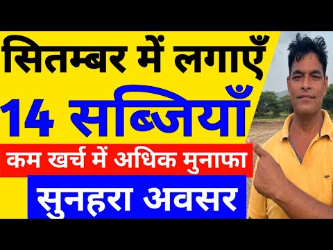 सितम्बर 2023 में कौनसी सब्जी लगाएँ|September me konsi sabji lagaye|September me sabji ki kheti|kheti