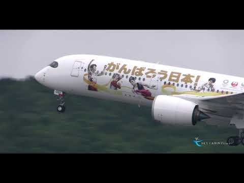 【新千歳空港飛行機動画】金の鶴丸!!東京オリンピック・パラリンピック特別塗装機 みんなのJAL2020ジェット3号機が就航!!