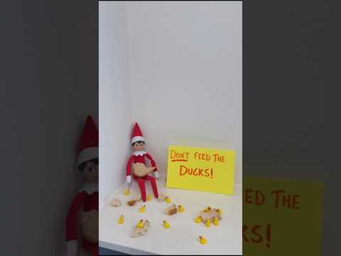 Elf On The Shelf Ideas #elfontheshelf #elfontheshelfideas #christmas #kids #diy #howto