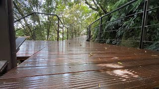 大崙尾碧溪步道戶外瓷態竹木階梯登山步道