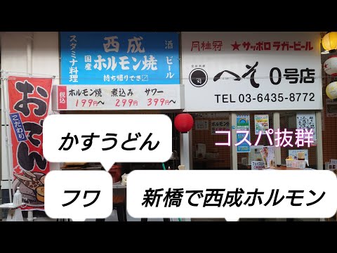 新橋で西成のホルモン【へそ０号店】珍しいかすうどんもフワうどんも食べれます