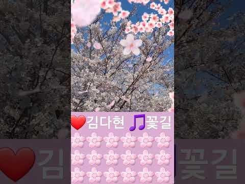 #김다현 #꽃길 🌸🎵❤️🧑‍💻