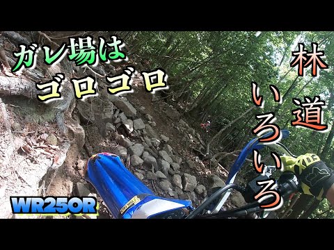 色々あるよね林道ツーリング！トラブルあっても人数がいれば心強い！