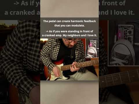 Every Bedroom Frusciante Needs This Pedal (feat. Parallel Universe by RHCP guitar solo) // #shorts