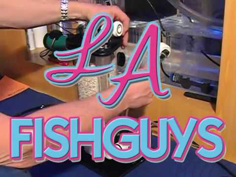 Life Reef Protein Skimmer  & Calcium Reactor, LA Fishguys, Episode 54, Part 2