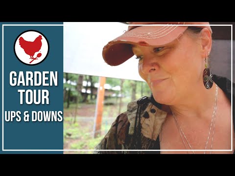 Rainy Garden Tour | Garden Ups & Downs | Garden Zone 7b - Raised Beds