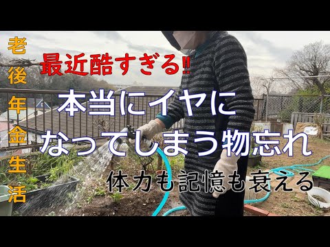 【70代年金生活】来年後期高齢者になる私、物忘れ体力の衰えを実感します。