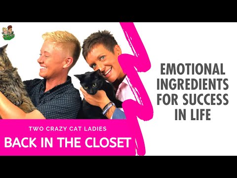 Emotional Ingredients for Success | Two Crazy Cat Ladies Podcast