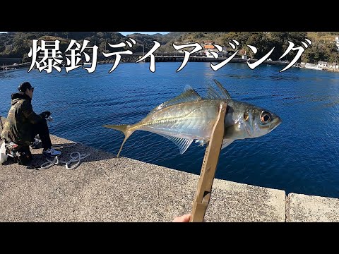 昼間っからアジが入れ食いになる夢の島。