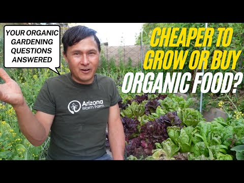 Cheaper to Grow or Buy Organic Food? + Gardening Questions Answered