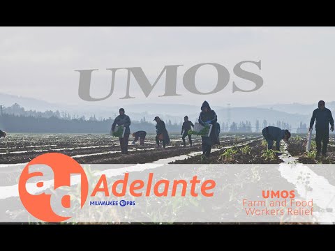 Adelante | Segment | UMOS Farm and Food Workers Relief